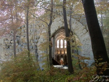 0c320-6a010536104739970b0162fea54692970d-800wi