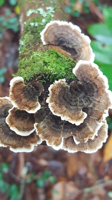 2016-08-20 11.57.52-1