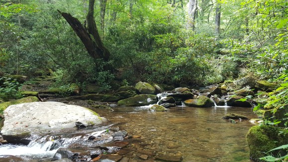 2016-09-17 14.24.07.jpg