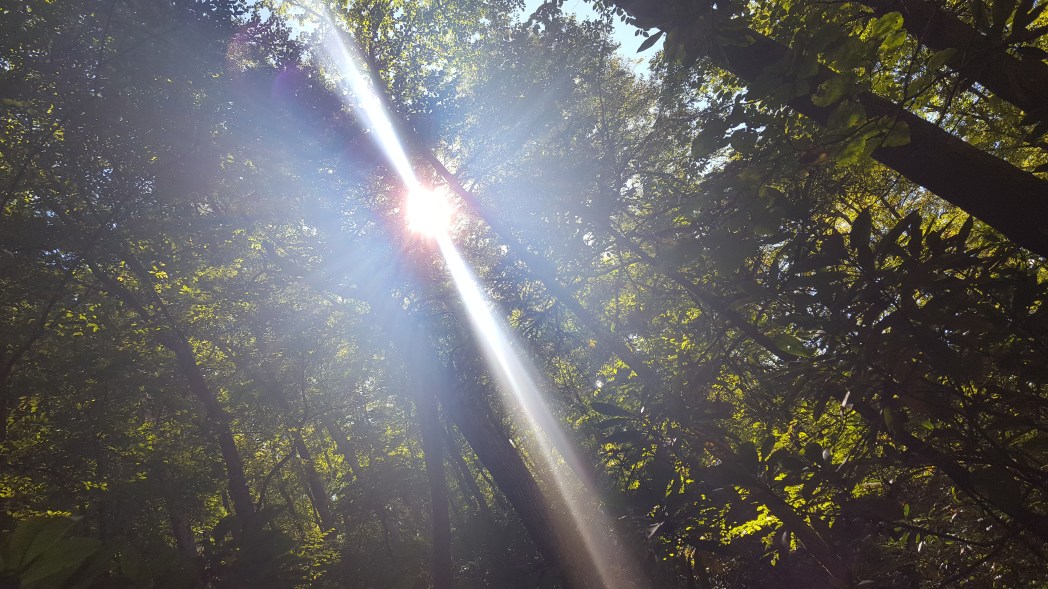 2016-10-01 12.17.31.jpg