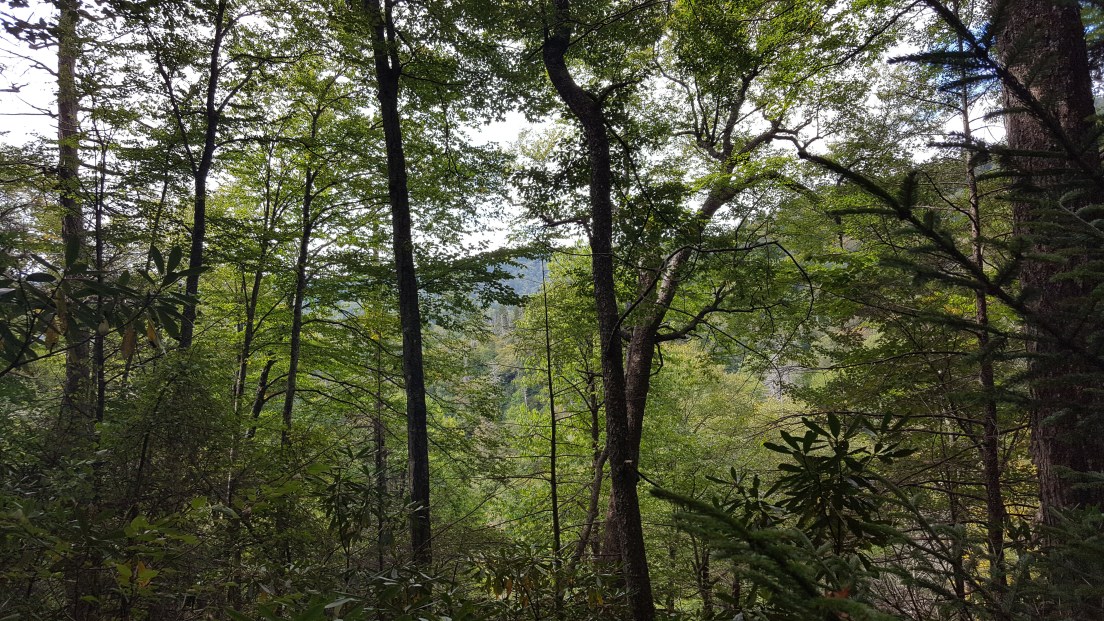 2016-10-01 13.55.27.jpg