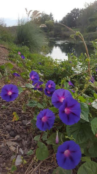 2016-10-08 08.52.04.jpg