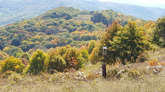 2016-10-15-13-18-19-1