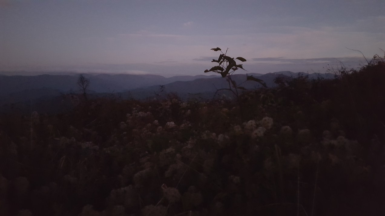 2016-10-15 19.26.11.jpg