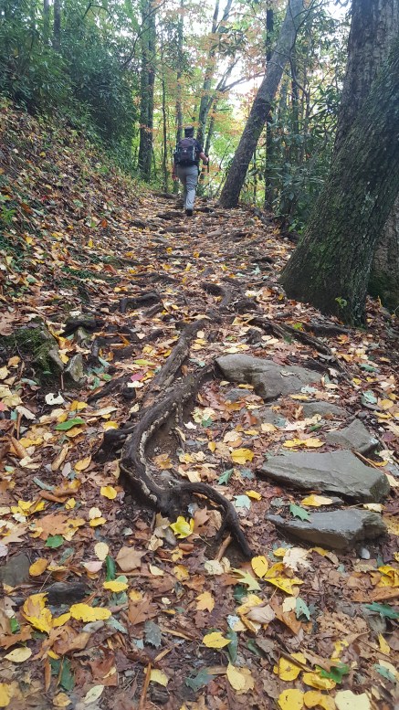 2016-10-22 09.31.52.jpg