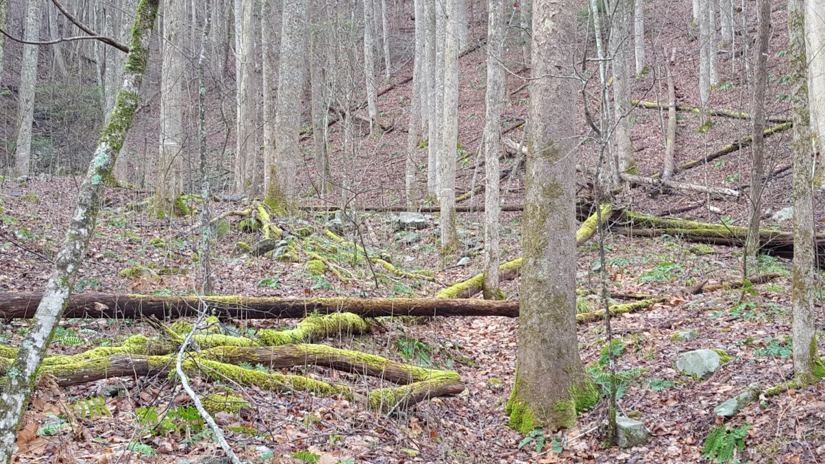 2016-01-09 09.05.12.jpg