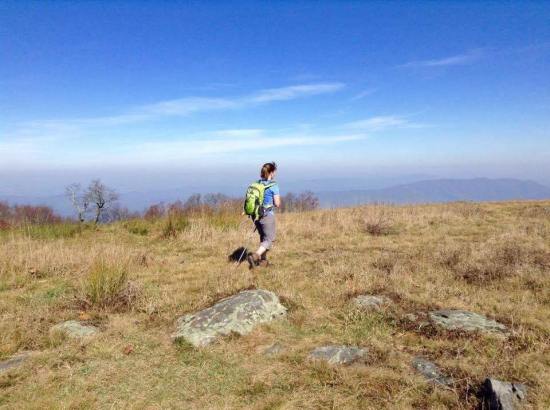 14955818_1814074882195550_1981137533970940214_n