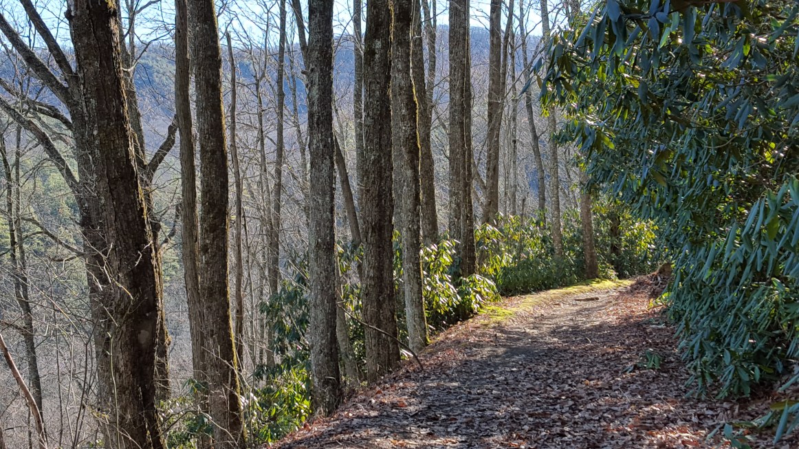 2016-01-30 10.53.56.jpg