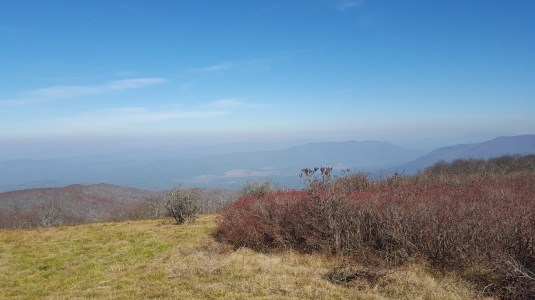 2016-11-05 13.00.01.jpg