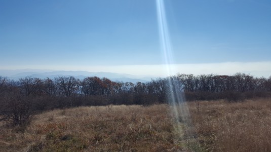 2016-11-05 13.02.03-1.jpg