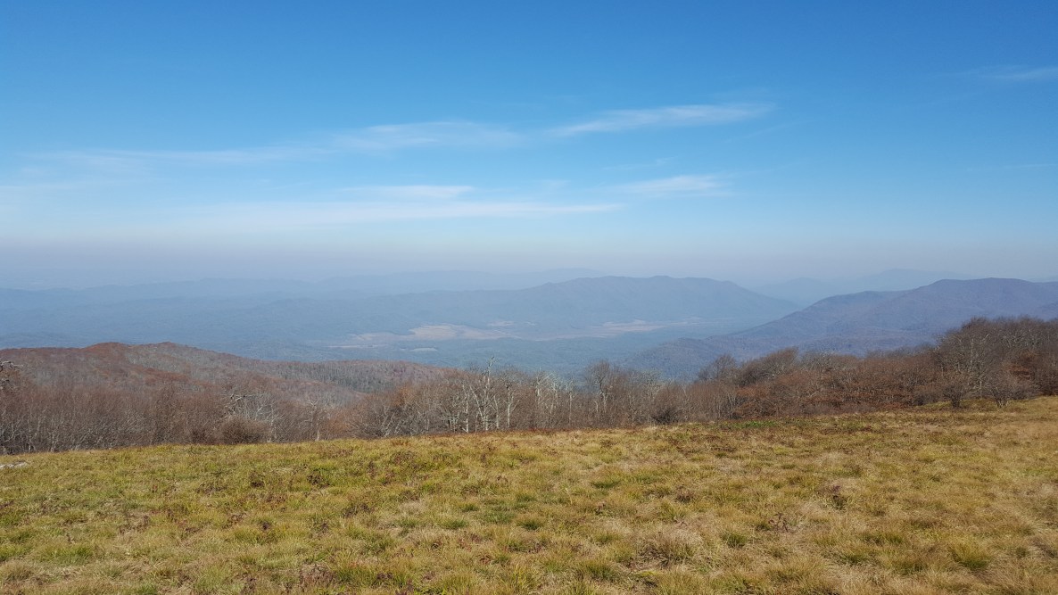 2016-11-05 13.18.58.jpg