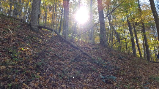 2016-11-05 15.06.27.jpg