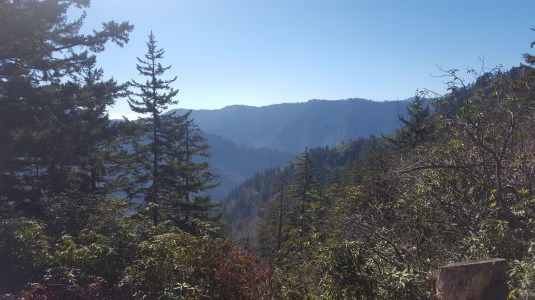 2016-11-18 11.17.29.jpg