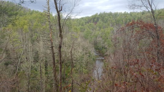 2016-12-17 10.22.29.jpg