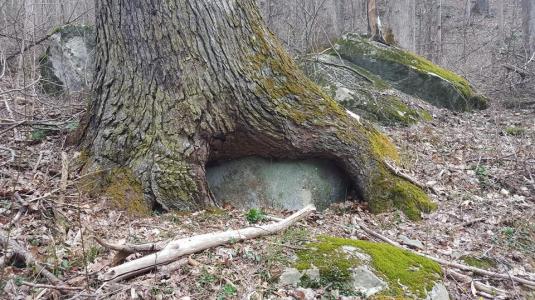 10377178_10153482114727285_2538120601188433975_n