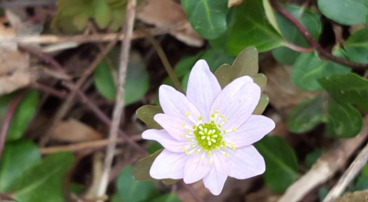 10387702_10153482113832285_8444076319134022334_n