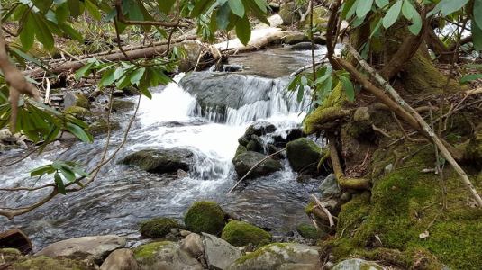 12115637_10153482113292285_562852404581063834_n