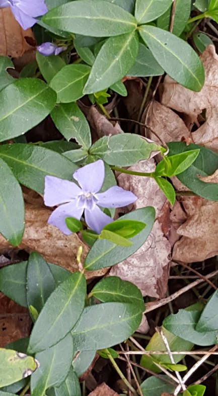 12274371_10153482113637285_7408528460771932357_n