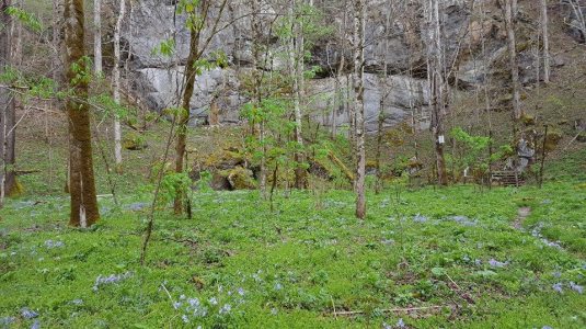 12321317_10153542934872285_7103429123971338225_n