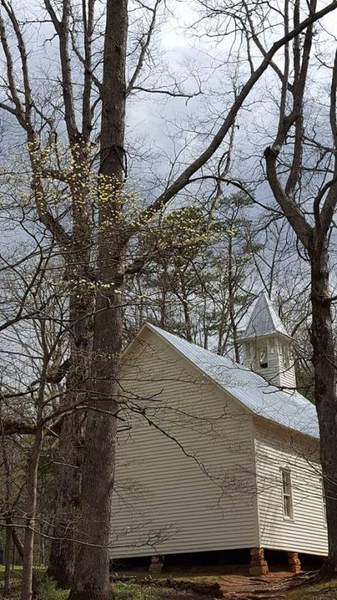 12920340_10153542961447285_20628220367509958_n