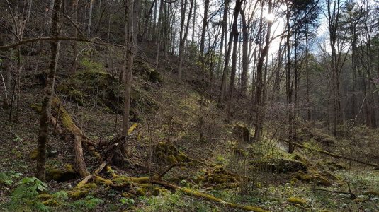 12923161_10153542931157285_1007216808104404846_n