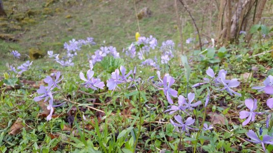 12924359_10153542929557285_3459093710386092453_n