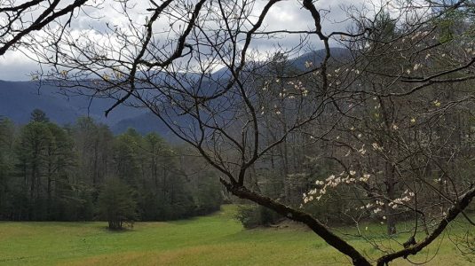 12928293_10153542960877285_6686909312567730026_n