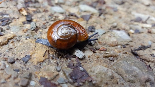 12936661_10153542941372285_5244609842991020695_n