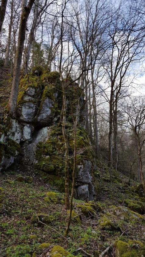 12974480_10153542928947285_7105788133640370178_n