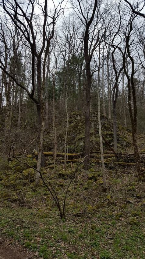 12985482_10153542938812285_666964206888847217_n