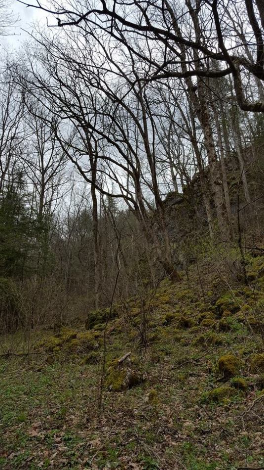 12987207_10153542938892285_5973913200997059710_n