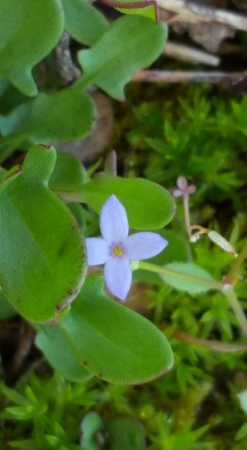 13043421_10153557715362285_3306403953609689109_n