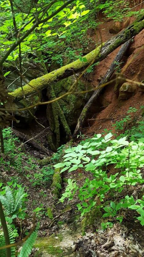 13091976_10153587462942285_2372271110517623061_n