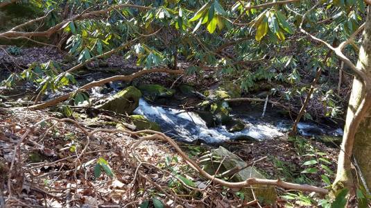 1382262_10153380098062285_1082500170833000524_n