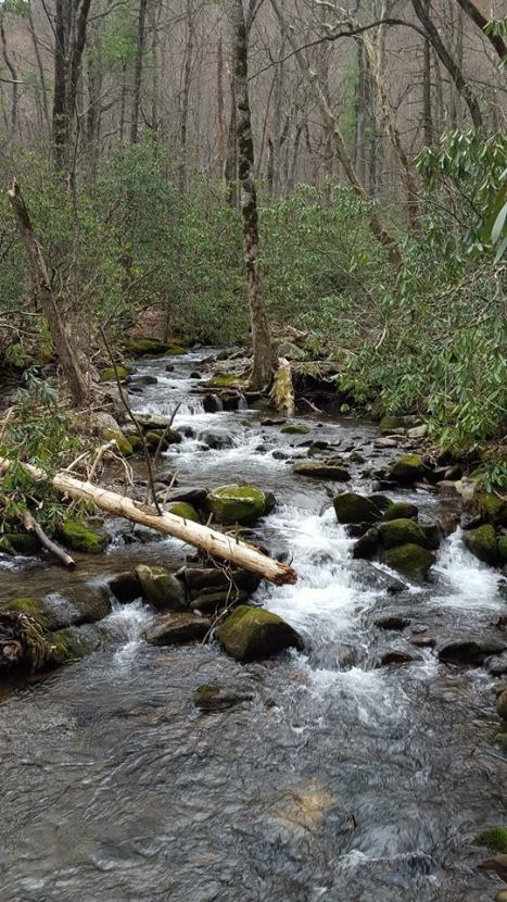 1391470_10153482113212285_8308853567110353972_n