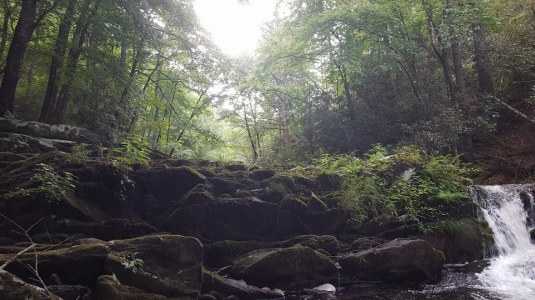 14055067_10153840864837285_5067134380275921200_n