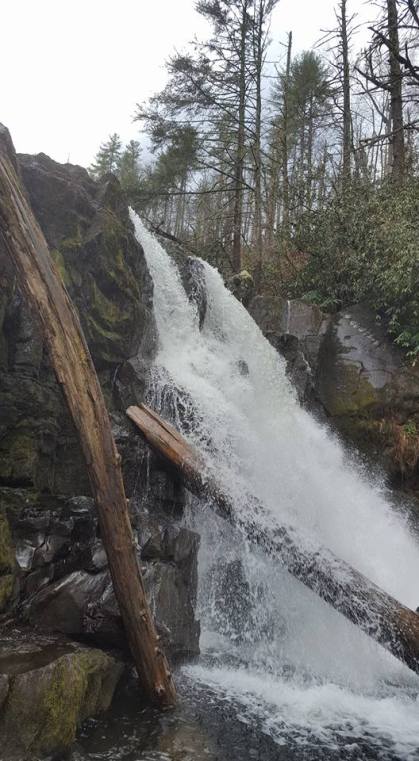 15541682_10154180621387285_7691963953595270761_n