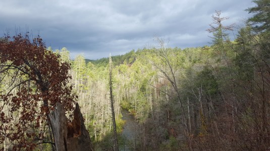 2016-12-17 10.25.47.jpg