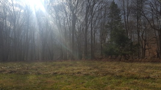 2016-12-17 12.48.01.jpg