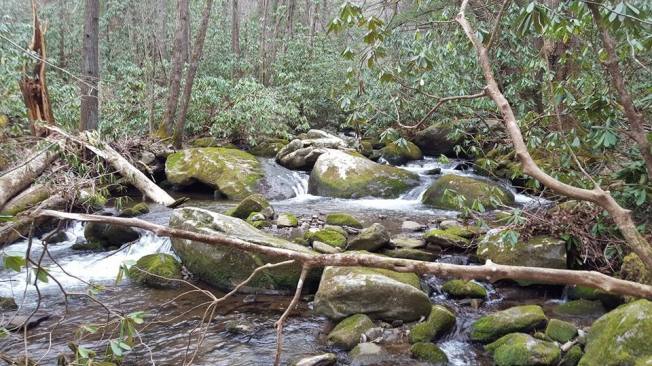 535132_10153482113417285_2727695539478899973_n