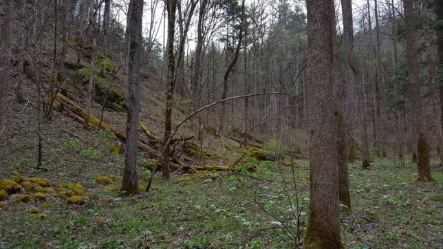 944003_10153542938552285_7239571602191610659_n