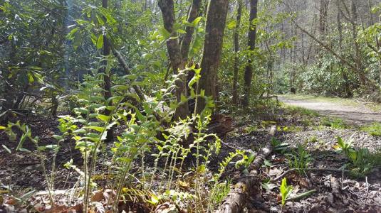 12963647_10153542940707285_1223406065623663717_n