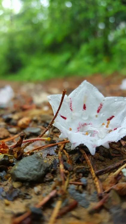 18425246_10154587709692285_3718346736168884871_n